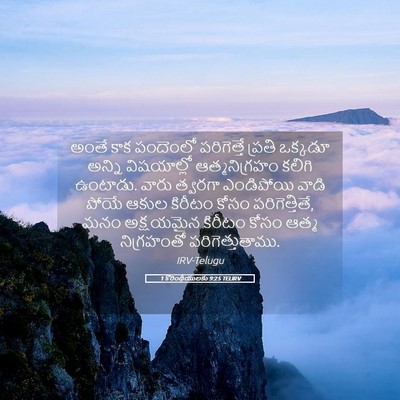 Picture 05 - 1 కొరింథీయులకు 9:25 TELIRV - అంతే కాక పందెంలో - Bible Verse Picture