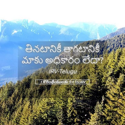 Picture 05 - 1 కొరింథీయులకు 9:4 TELIRV - తినటానికీ - Bible Verse Picture
