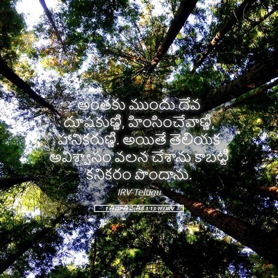 Picture 05 - 1 తిమోతి పత్రిక 1:13 TELIRV - అంతకు ముందు దేవ - Bible Verse Picture