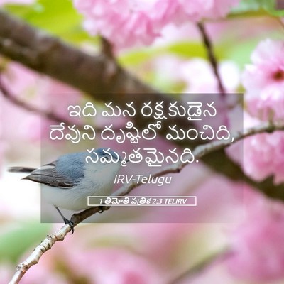 Picture 05 - 1 తిమోతి పత్రిక 2:3 TELIRV - ఇది మన రక్షకుడైన - Bible Verse Picture