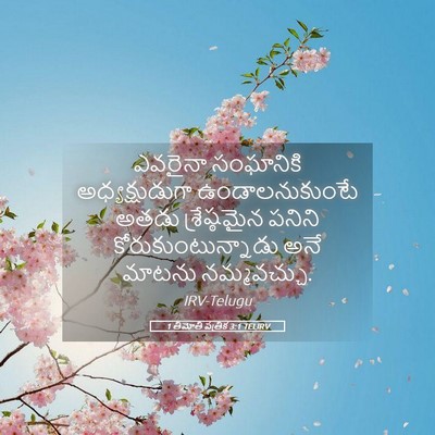 Picture 05 - 1 తిమోతి పత్రిక 3:1 TELIRV - ఎవరైనా సంఘానికి - Bible Verse Picture