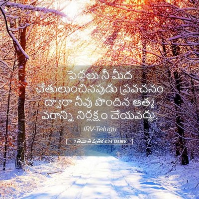 Picture 05 - 1 తిమోతి పత్రిక 4:14 TELIRV - పెద్దలు నీ మీద - Bible Verse Picture