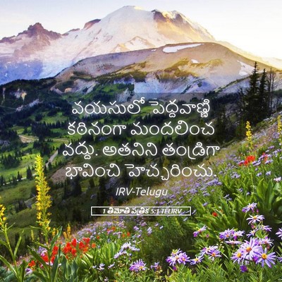 Picture 05 - 1 తిమోతి పత్రిక 5:1 TELIRV - వయసులో - Bible Verse Picture