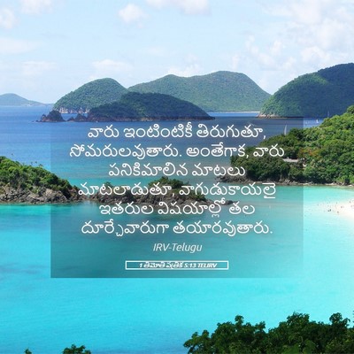 Picture 05 - 1 తిమోతి పత్రిక 5:13 TELIRV - వారు ఇంటింటికీ - Bible Verse Picture