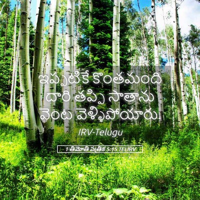Picture 05 - 1 తిమోతి పత్రిక 5:15 TELIRV - ఇప్పటికే కొంతమంది - Bible Verse Picture