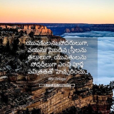 Picture 05 - 1 తిమోతి పత్రిక 5:2 TELIRV - యువకులను - Bible Verse Picture