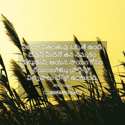 Picture 05 - 1 తిమోతి పత్రిక 5:5 TELIRV - నిజంగా వితంతువు - Bible Verse Picture