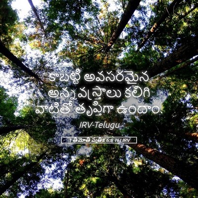 Picture 05 - 1 తిమోతి పత్రిక 6:8 TELIRV - కాబట్టి అవసరమైన - Bible Verse Picture