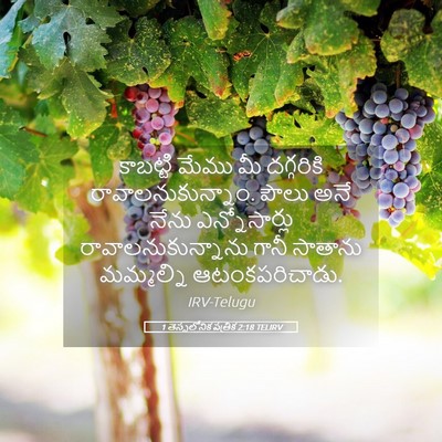 Picture 05 - 1 తెస్సలోనిక పత్రిక 2:18 TELIRV - కాబట్టి మేము మీ - Bible Verse Picture