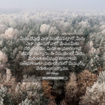 Picture 05 - 1 తెస్సలోనిక పత్రిక 4:2 TELIRV - మీరు దేవుణ్ణి ఎలా - Bible Verse Picture