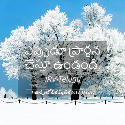 Picture 05 - 1 తెస్సలోనిక పత్రిక 5:17 TELIRV - ఎప్పుడూ ప్రార్థన - Bible Verse Picture
