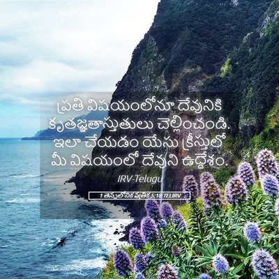 Picture 05 - 1 తెస్సలోనిక పత్రిక 5:18 TELIRV - ప్రతి విషయంలోనూ - Bible Verse Picture