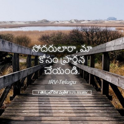 Picture 05 - 1 తెస్సలోనిక పత్రిక 5:25 TELIRV - సోదరులారా, మా కోసం - Bible Verse Picture