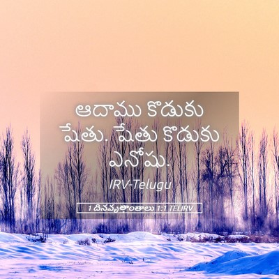 Picture 05 - 1 దినవృత్తాంతాలు 1:1 TELIRV - ఆదాము కొడుకు షేతు. - Bible Verse Picture