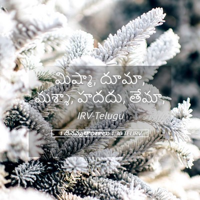 Picture 05 - 1 దినవృత్తాంతాలు 1:30 TELIRV - మిష్మా, దూమా, - Bible Verse Picture