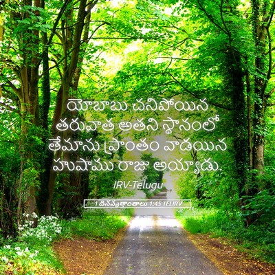 Picture 05 - 1 దినవృత్తాంతాలు 1:45 TELIRV - యోబాబు చనిపోయిన - Bible Verse Picture