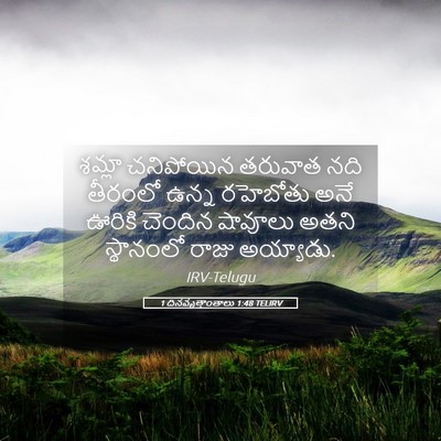 Picture 05 - 1 దినవృత్తాంతాలు 1:48 TELIRV - శమ్లా చనిపోయిన - Bible Verse Picture