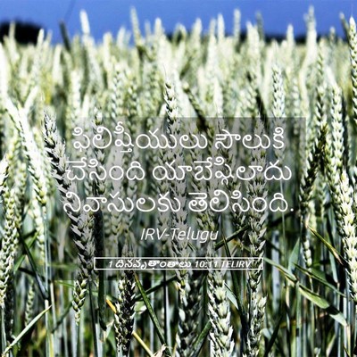 Picture 05 - 1 దినవృత్తాంతాలు 10:11 TELIRV - ఫిలిష్తీయులు - Bible Verse Picture