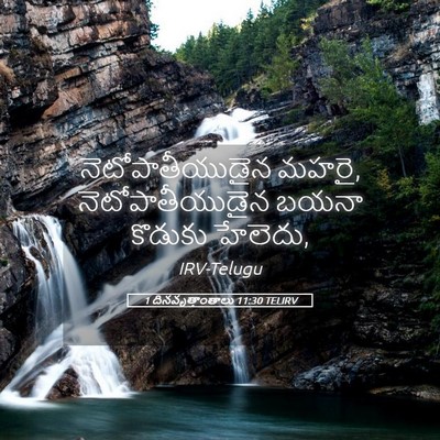 Picture 05 - 1 దినవృత్తాంతాలు 11:30 TELIRV - నెటోపాతీయుడైన - Bible Verse Picture