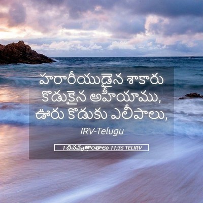 Picture 05 - 1 దినవృత్తాంతాలు 11:35 TELIRV - హరారీయుడైన శాకారు - Bible Verse Picture