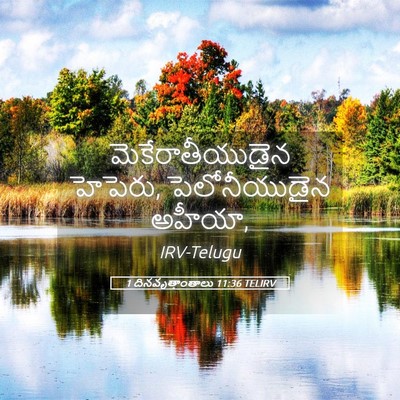Picture 05 - 1 దినవృత్తాంతాలు 11:36 TELIRV - మెకేరాతీయుడైన - Bible Verse Picture