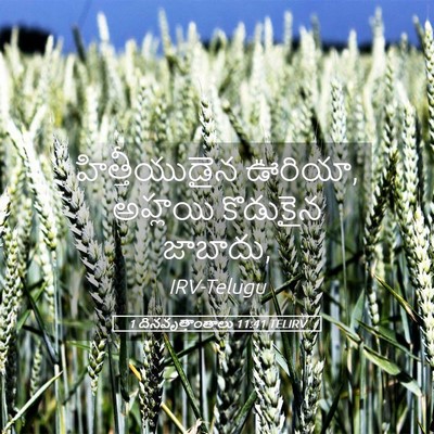 Picture 05 - 1 దినవృత్తాంతాలు 11:41 TELIRV - హిత్తీయుడైన - Bible Verse Picture
