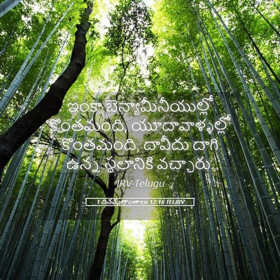 Picture 05 - 1 దినవృత్తాంతాలు 12:16 TELIRV - ఇంకా - Bible Verse Picture