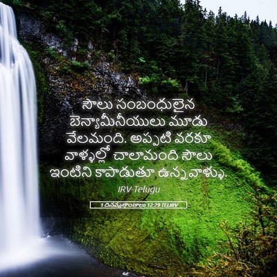 Picture 05 - 1 దినవృత్తాంతాలు 12:29 TELIRV - సౌలు సంబంధులైన - Bible Verse Picture