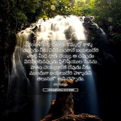 Picture 05 - 1 దినవృత్తాంతాలు 14:15 TELIRV - కంబళి చెట్ల - Bible Verse Picture