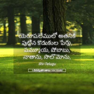 Picture 05 - 1 దినవృత్తాంతాలు 14:4 TELIRV - యెరూషలేములో - Bible Verse Picture