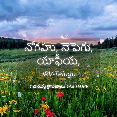 Picture 05 - 1 దినవృత్తాంతాలు 14:6 TELIRV - నోగహు, నెపెగు, - Bible Verse Picture