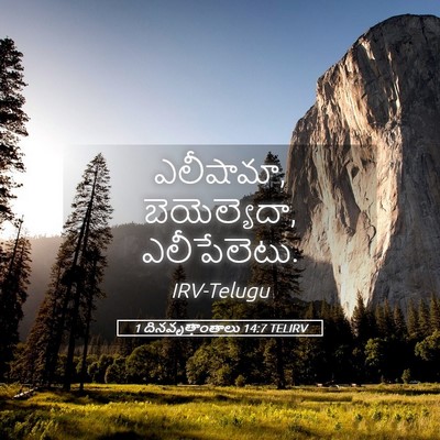 Picture 05 - 1 దినవృత్తాంతాలు 14:7 TELIRV - ఎలీషామా, - Bible Verse Picture