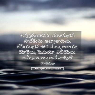 Picture 05 - 1 దినవృత్తాంతాలు 15:11 TELIRV - అప్పుడు దావీదు - Bible Verse Picture
