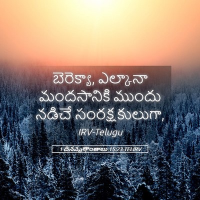 Picture 05 - 1 దినవృత్తాంతాలు 15:23 TELIRV - బెరెక్యా, ఎల్కానా - Bible Verse Picture