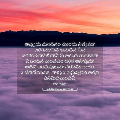 Picture 05 - 1 దినవృత్తాంతాలు 16:37 TELIRV - అప్పుడు మందసం - Bible Verse Picture
