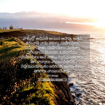 Picture 05 - 1 దినవృత్తాంతాలు 16:5 TELIRV - వాళ్ళల్లో అధిపతి - Bible Verse Picture