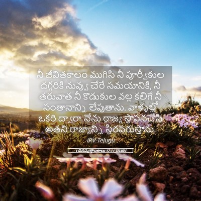 Picture 05 - 1 దినవృత్తాంతాలు 17:11 TELIRV - నీ జీవితకాలం - Bible Verse Picture