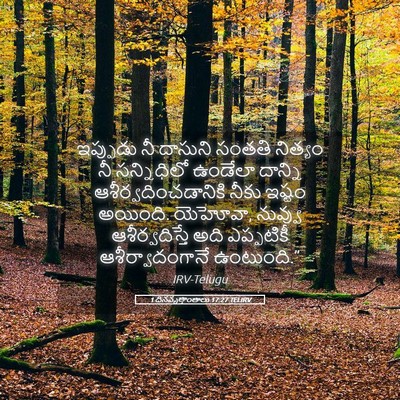 Picture 05 - 1 దినవృత్తాంతాలు 17:27 TELIRV - ఇప్పుడు నీ దాసుని - Bible Verse Picture