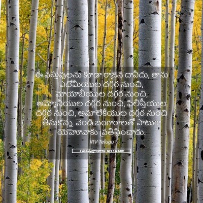 Picture 05 - 1 దినవృత్తాంతాలు 18:11 TELIRV - ఈ వస్తువులను కూడా - Bible Verse Picture
