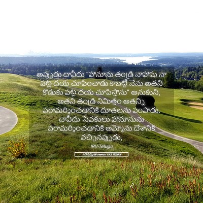 Picture 05 - 1 దినవృత్తాంతాలు 19:2 TELIRV - అప్పుడు దావీదు - Bible Verse Picture