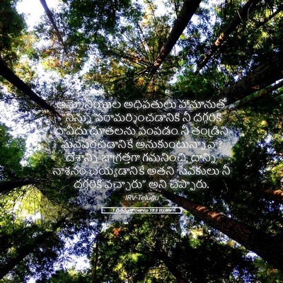 Picture 05 - 1 దినవృత్తాంతాలు 19:3 TELIRV - అమ్మోనీయుల - Bible Verse Picture