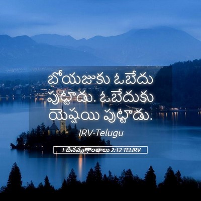 Picture 05 - 1 దినవృత్తాంతాలు 2:12 TELIRV - బోయజుకు ఓబేదు - Bible Verse Picture