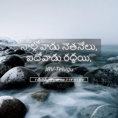 Picture 05 - 1 దినవృత్తాంతాలు 2:14 TELIRV - నాల్గోవాడు - Bible Verse Picture