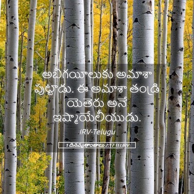 Picture 05 - 1 దినవృత్తాంతాలు 2:17 TELIRV - అబీగయీలుకు అమాశా - Bible Verse Picture