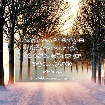 Picture 05 - 1 దినవృత్తాంతాలు 2:35 TELIRV - షేషాను తన - Bible Verse Picture