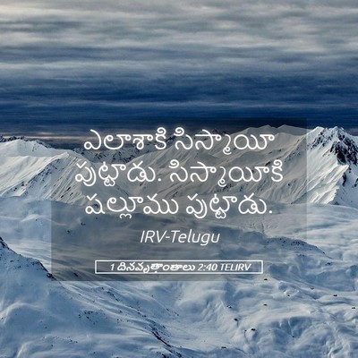 Picture 05 - 1 దినవృత్తాంతాలు 2:40 TELIRV - ఎలాశాకి సిస్మాయీ - Bible Verse Picture