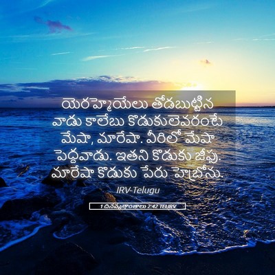 Picture 05 - 1 దినవృత్తాంతాలు 2:42 TELIRV - యెరహ్మెయేలు - Bible Verse Picture