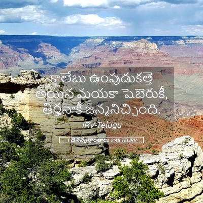 Picture 05 - 1 దినవృత్తాంతాలు 2:48 TELIRV - కాలేబు - Bible Verse Picture