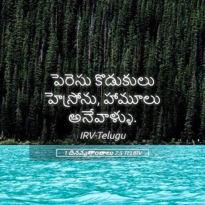 Picture 05 - 1 దినవృత్తాంతాలు 2:5 TELIRV - పెరెసు కొడుకులు - Bible Verse Picture