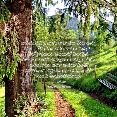 Picture 05 - 1 దినవృత్తాంతాలు 20:2 TELIRV - దావీదు వచ్చి, - Bible Verse Picture